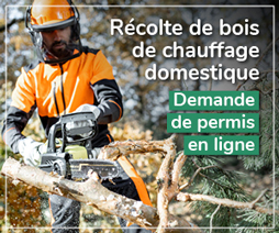 Demande de permis en ligne