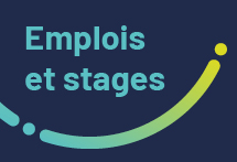 Emplois et stages au MRNF Une simple piqûre peut nuire à votre santé!